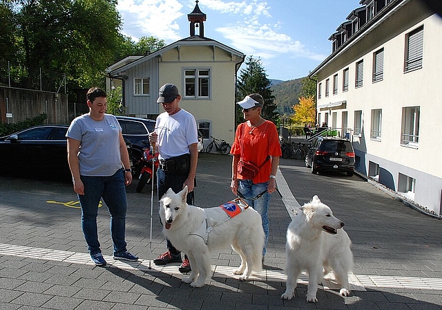 Ausgezeichneter Blindenführhund: der Bergier Suisse. Fotos: Pier-Giuseppe Cacciatori
