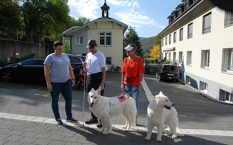 Ausgezeichneter Blindenführhund: der Bergier Suisse. Fotos: Pier-Giuseppe Cacciatori
