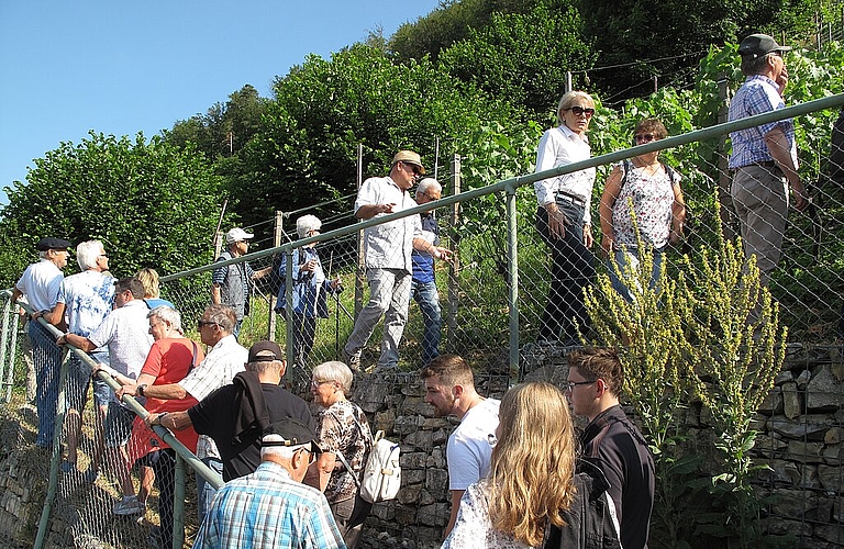Viele Gäste nahmen am Rebrundgang teil.
