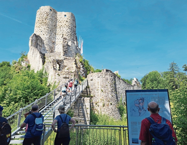 Ein beliebter Wandervorschlag der Wanderwege beider Basel ist die Rundwanderung ab Aesch mit der Ruine Pfeffingen. 