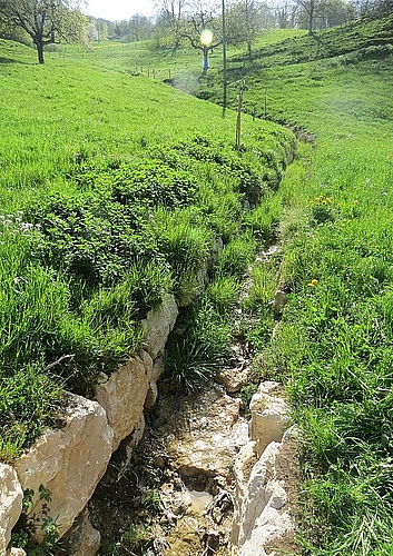 Die Natur erhält mit der Ausdolung des Höllbachs ein offenes Wasser zurück.