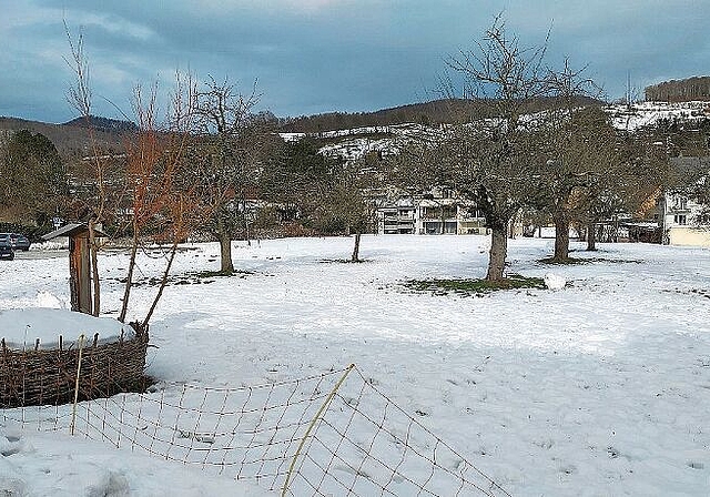 Gegenüber der Dorfschule neben dem Friedhof am Gottesackerweg ist der Neubau der Dreifachsporthalle geplant.Fotos: S. van Riemsdijk
