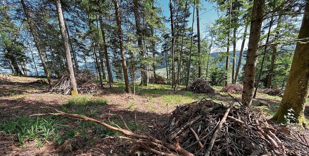 Einzelne Aufwertungsmassnahmen werden mit einander vernetzt und Habitate werden verbunden.
