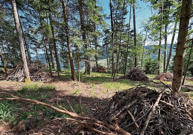 Einzelne Aufwertungsmassnahmen werden mit einander vernetzt und Habitate werden verbunden.