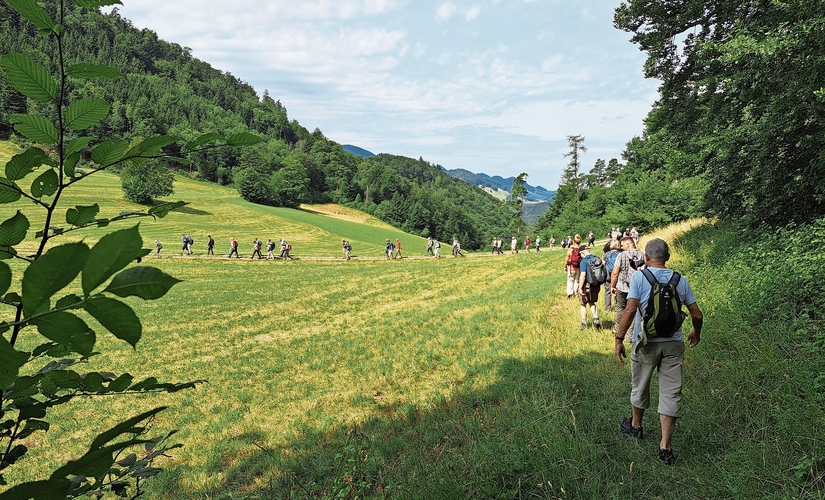 Prächtige Impressionen von der Eptinger Quellenwanderung. 