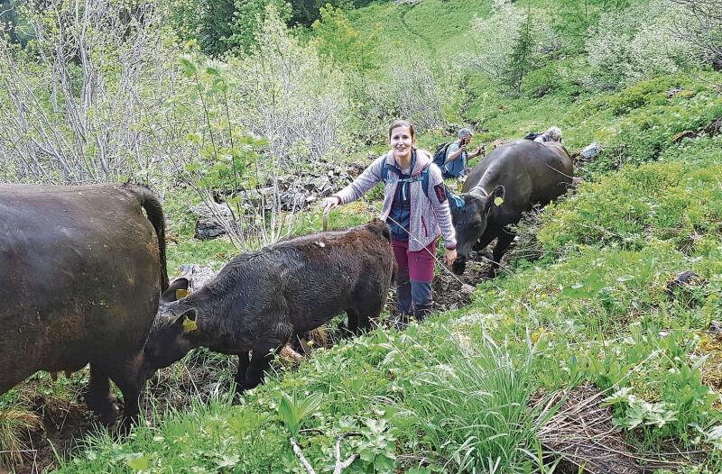 «Der Alpaufzug ist für unsere Familie und Helfer/-innen ein besonderer Tag; hier sind wir auf dem Fussweg auf die Alp Ochsenbergli ob Iseltwald», erklärt Annette Rieder.  Foto: zVg