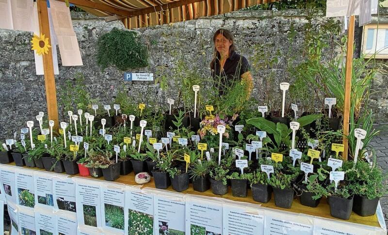 «Natur pur» war an diesem Stand nicht zu übersehen ... Fotos: W. Wenger
