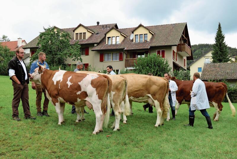 Die Richter Daniel Trachsel und Thomas Theiler stellten in der Kategorie mit 4 und 5 ML-Abschlüssen Foxa von Christoph Gerber auf den ersten Platz.