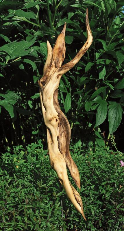Tänzerin: Fundholz-Skulptur 
         
         
            von Rolf Brogli.Foto: zVg
