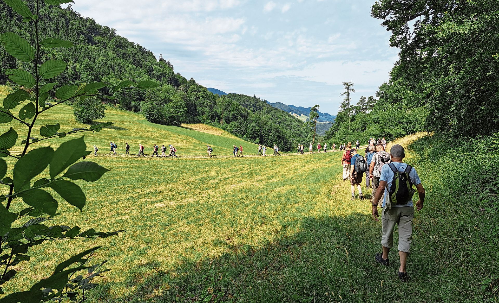 Prächtige Impressionen von der Eptinger Quellenwanderung. 