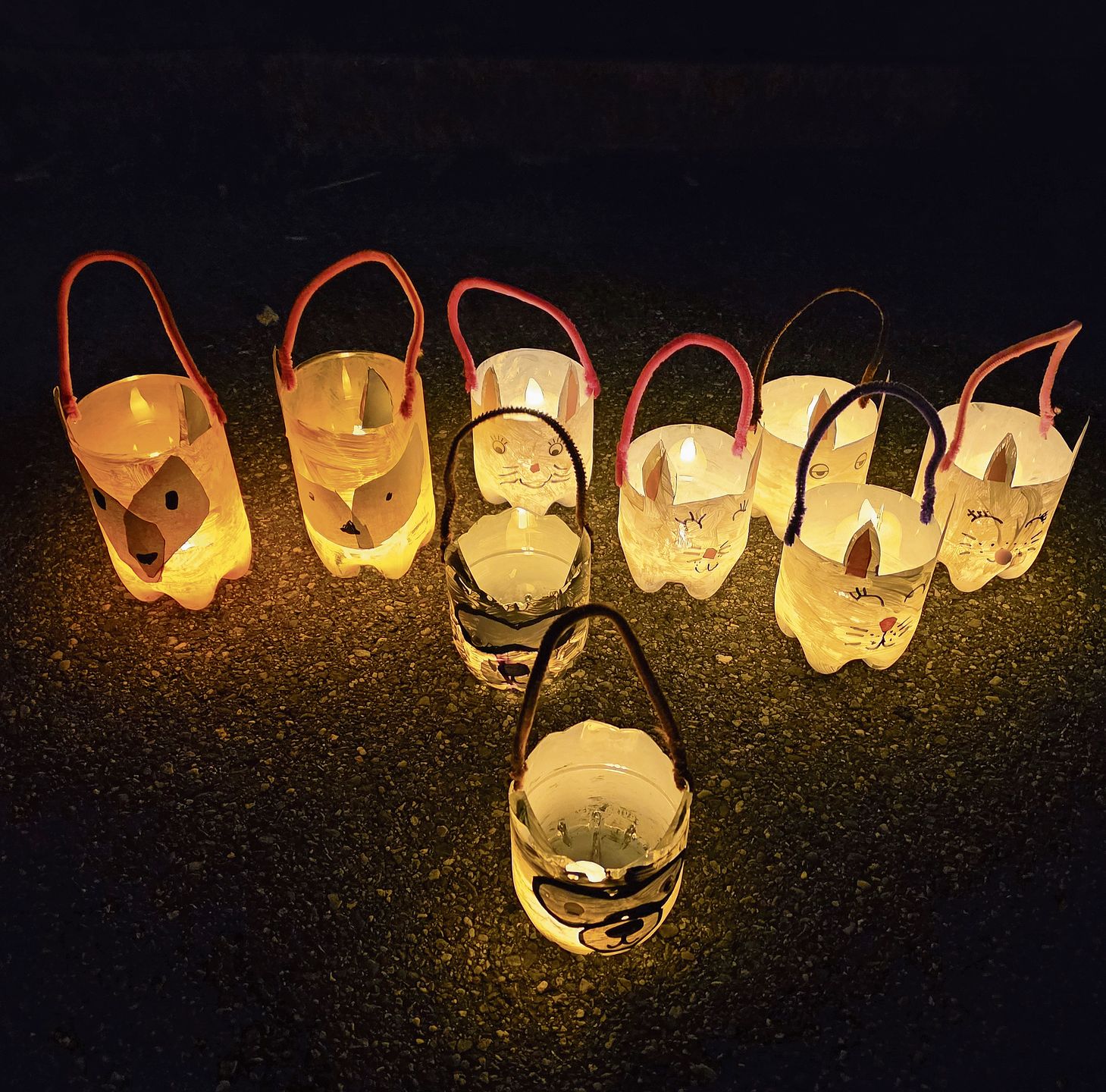 Wölfe, Hasen und Pandas aus der Klasse 1db von Lehrerin Tatjana Peric. 