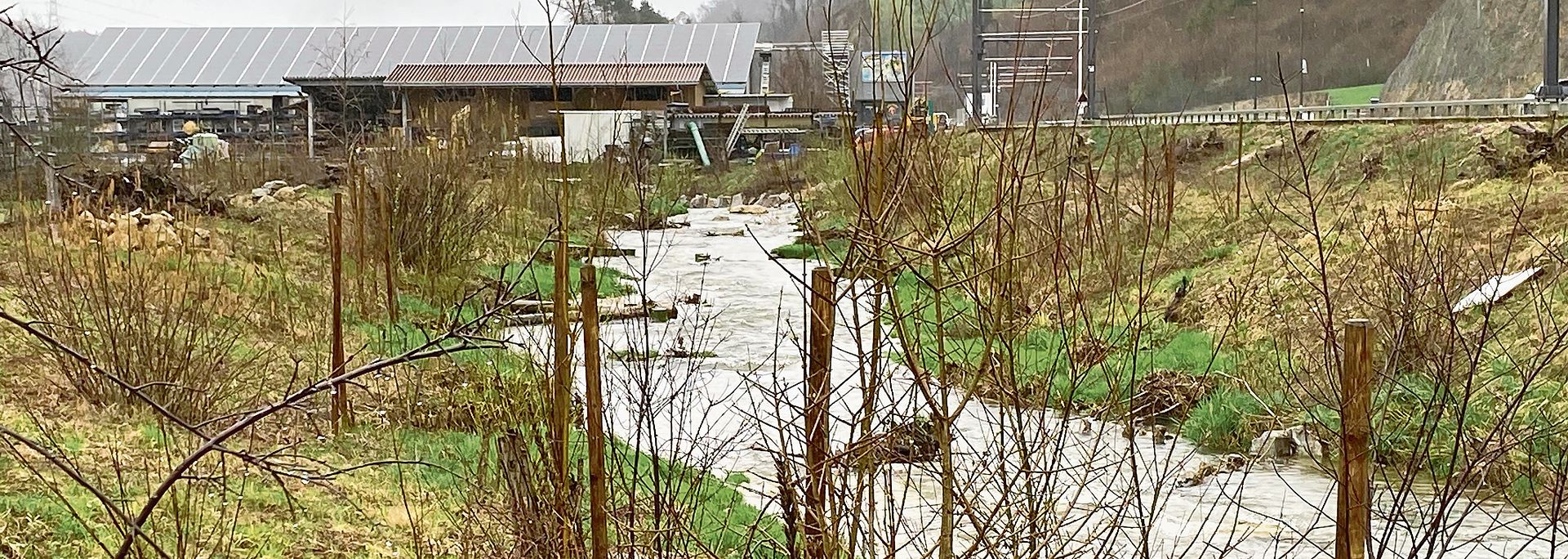 Die Vordere Frenke wurde nördlich von Hölstein vorbildlich renaturiert. Fotos: W. Wenger
