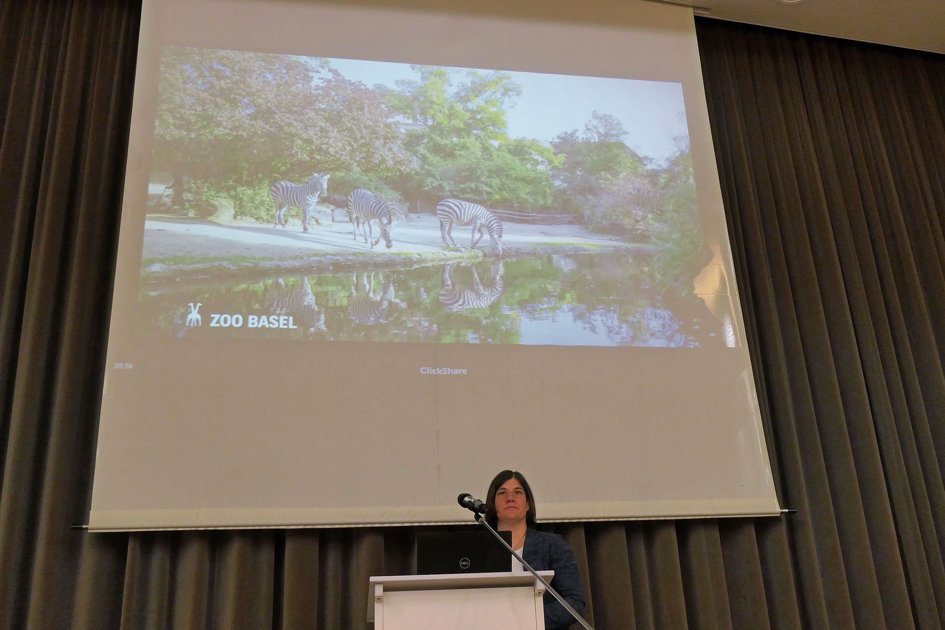 Zootierärztin Dr. med. vet. Fabia Wyss erzählte Wissenswertes aus dem Zoo Basel. Fotos: U. Handschin