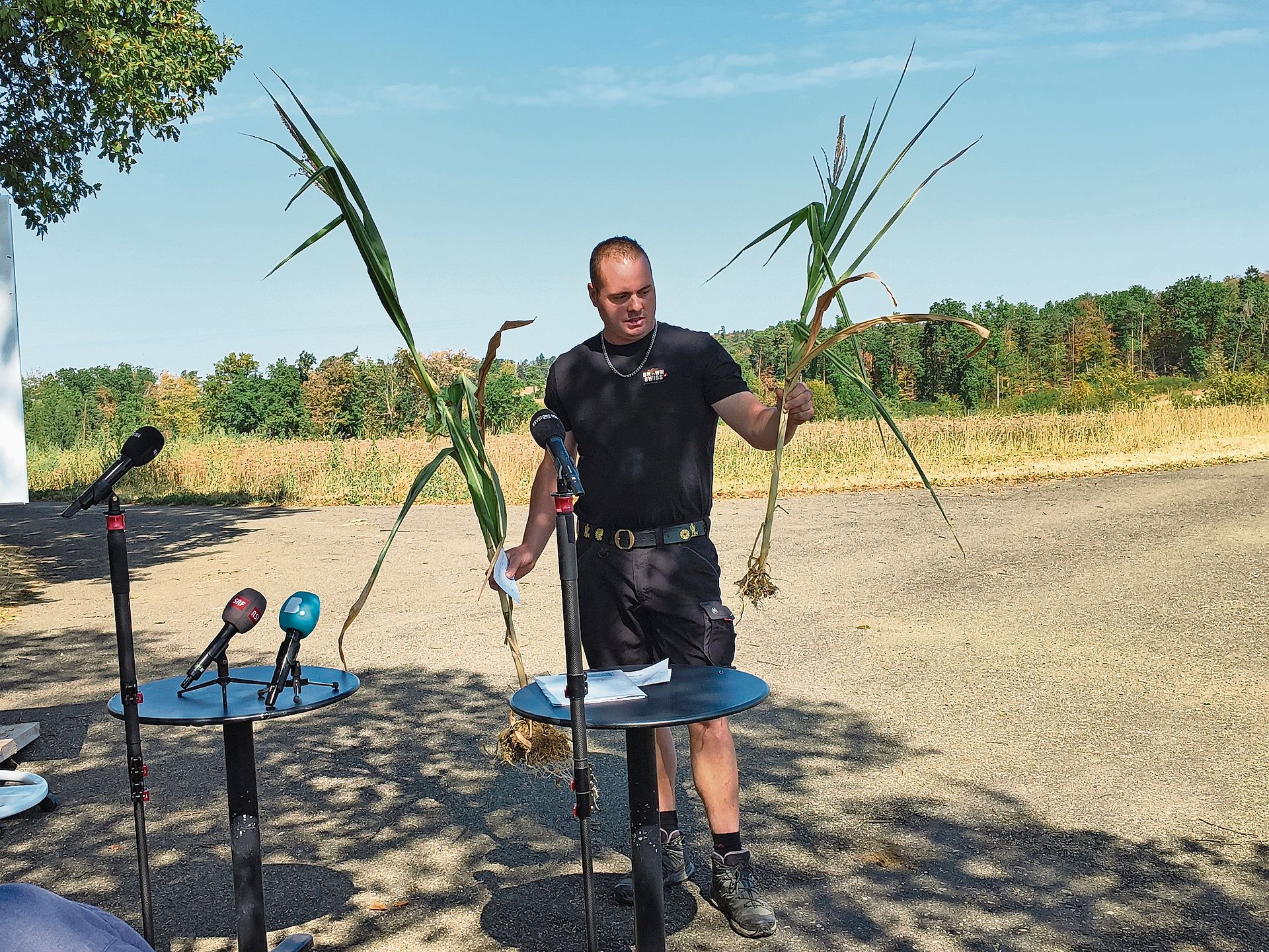 Elias Zumbrunn in seiner rechten Hand eine Maispflanze, die ein bisschen mehr Wasser erhalten und einen kleinen Kolben ausgebildet hat. Das Dilemma: Er ist zu unreif fürs Silo; andererseits fangen die Pflanzen von unten an auszutrocknen und müssen Elias Zumbrunn in seiner rechten Hand eine Maispflanze, die ein bisschen mehr Wasser erhalten und einen kleinen Kolben ausgebildet hat. Das Dilemma: Er ist zu unreif fürs Silo; andererseits fangen die Pflanzen von unten an auszutrocknen und müssen bald geerntet werden. Die Pflanze in der linken Hand hat nicht einmal einen Kolben gebildet. Fazit: Insgesamt ist mit 50 bis 60 Prozent Ernteausfall zu rechnen.