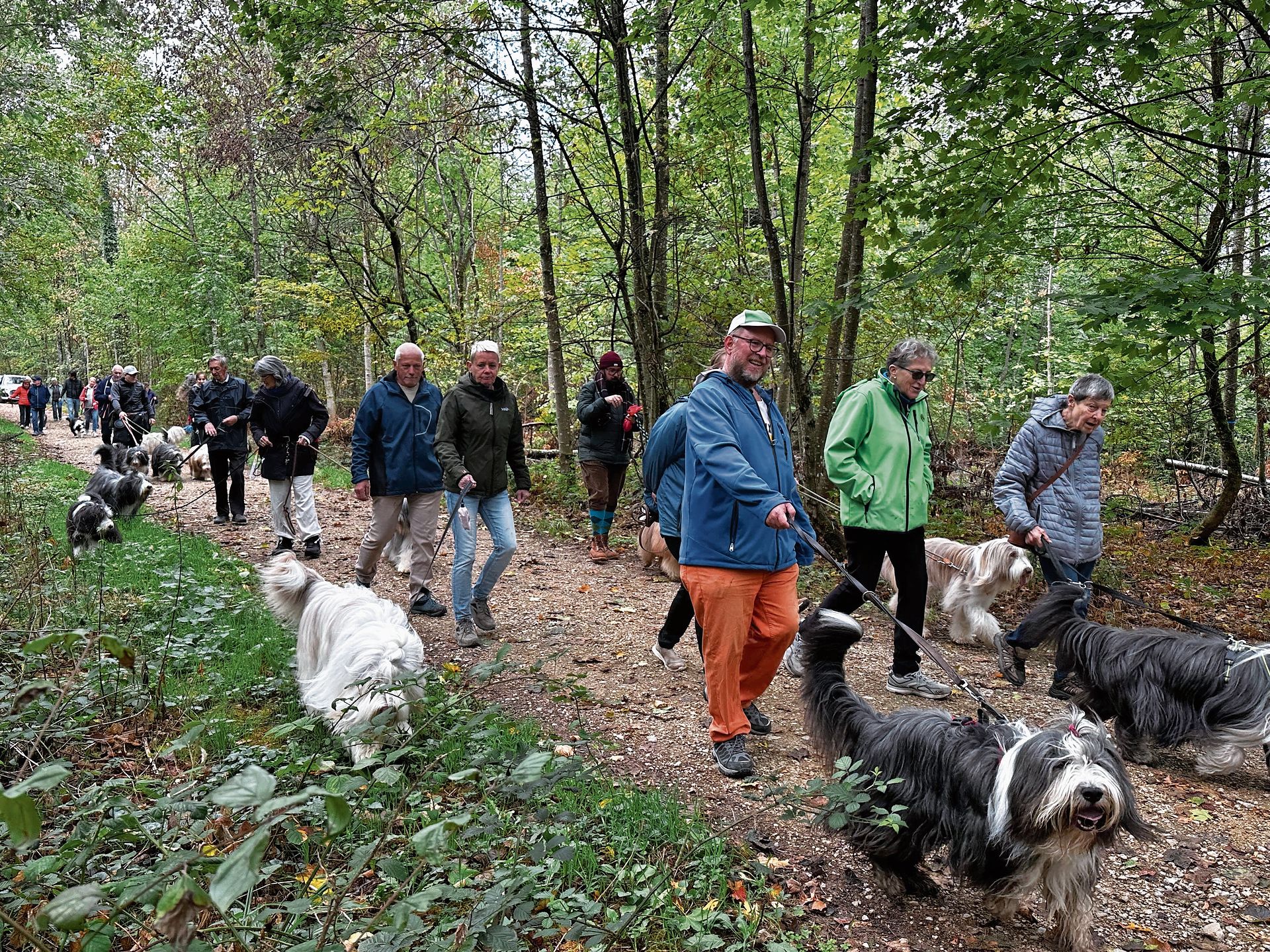 Auftakt zum Herbstspaziergang im Zunzger Wald.
