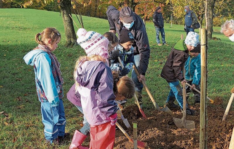 Schon seit Jahren eine Tradition - Erstlässerinnen und Erstklässer pflanzen, mit Unterstützung, einen Obstbaum,Fotos: S. van riemsdijk