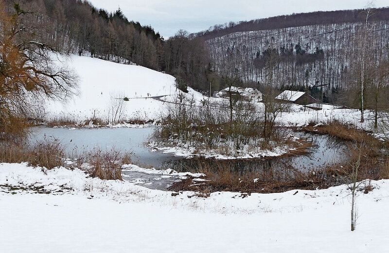 Eine dünne Eisschicht bedeckt einen Teil des grossen Weihers.