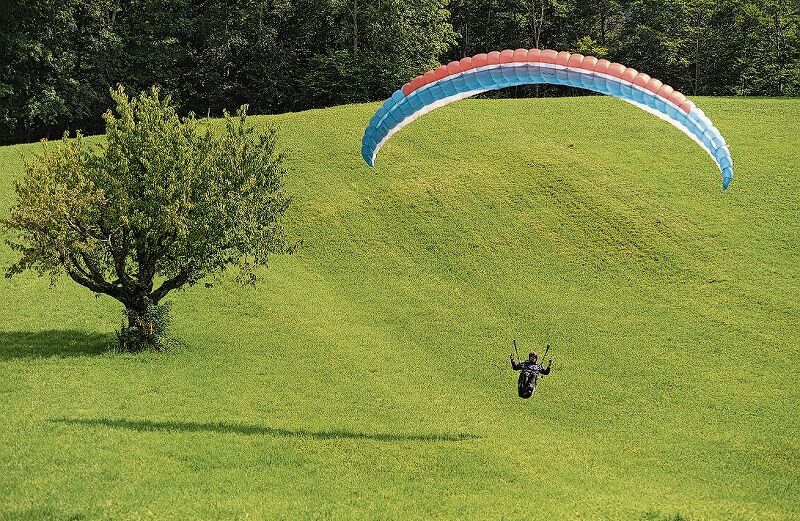 Perfekte Landung auf der gemähten Wiese.
