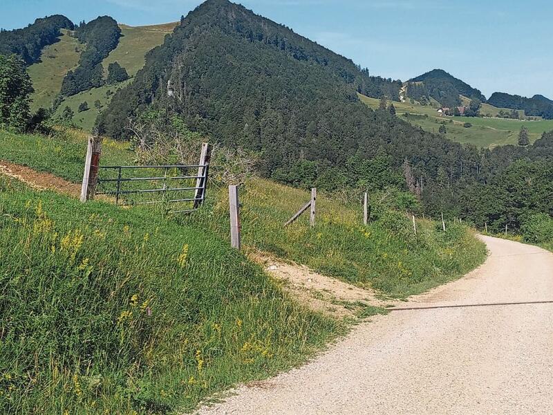 Die Region Wasserfallen ist weit herum bekannt für ihre vielfältigen Lebensräume.