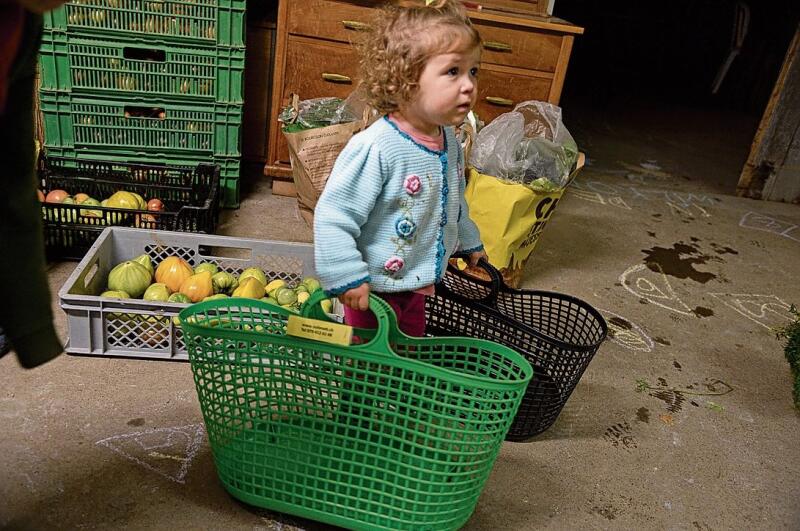 Kira, die nächste Generation wird sich mit Gemüse versorgen. Fotos: E. Gysin
