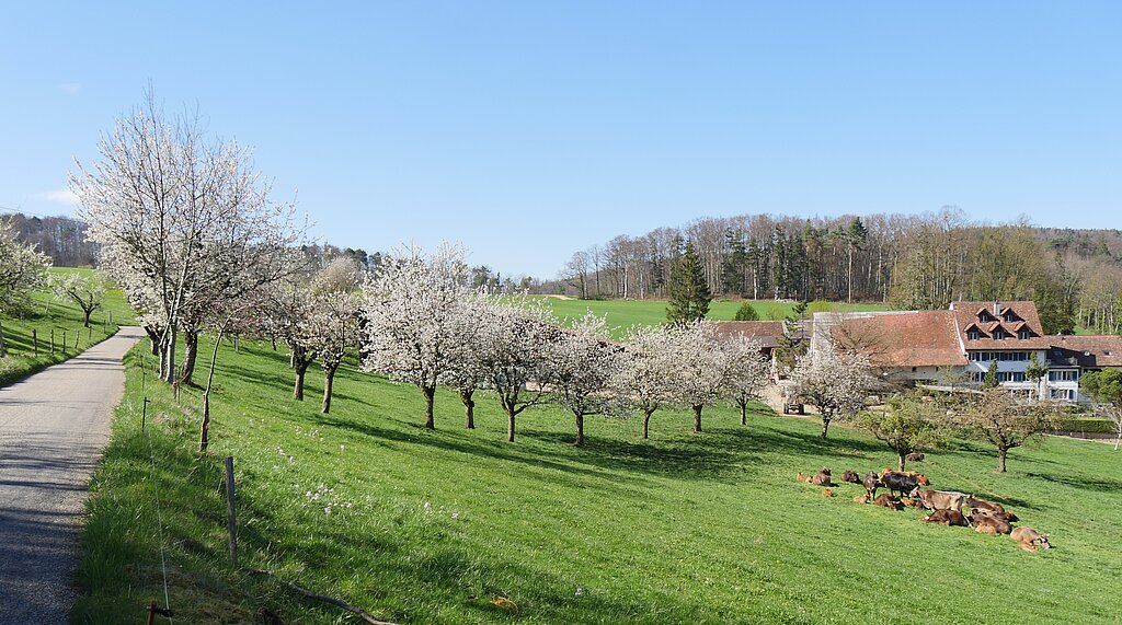 Wandern durchs Oberbaselbiet. Foto: b. eglin

