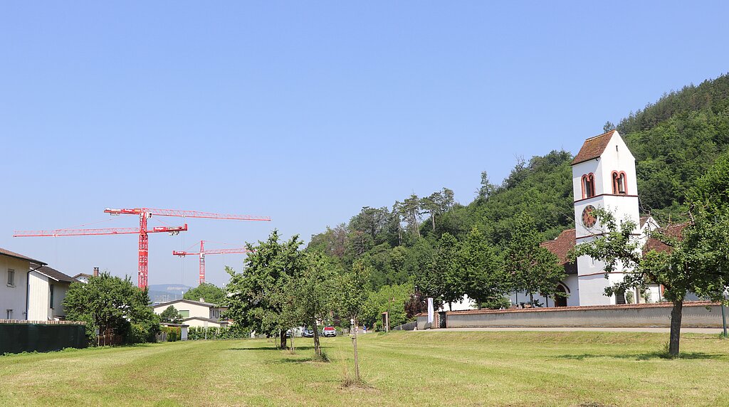 Die Kirche von Lausen stand in dem heute verschwundenen Dorf Bettenach. Links vom Bildausschnitt, unterhalb der Häuserzeile, befand sich ein Stausee aus der Römerzeit, der das Tal bis zur Gemeindegrenze mit Liestal ausfüllte. Dort – auf dem Bild auf der Höhe des hintersten Krans auf dem ehemaligen Cheddite-Gebiet – bildete eine quer verlaufende Gesteinsrippe ideale Voraussetzungen, um einen Damm zu bauen. Abzulesen ist diese Gesteinsrippe auch an den Föhren in der Bildmitte, die den trockeneren Boden bevorzugen. Fotos: M. Schaffner
