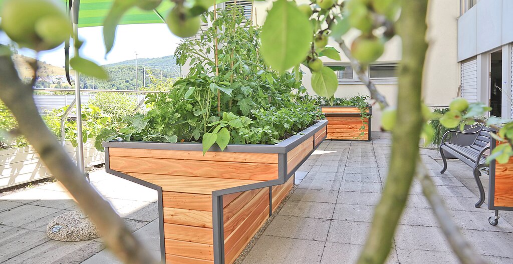 Der Garten ist so gestaltet, dass die Senioren auch in Rollstühlen an die Hochbeete heranfahren können.