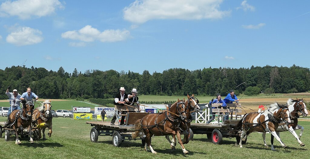 Das Brückenwagenrennen wurde von drei Gespannen aus dem Emmental bestritten.Fotos: U. Handschin
