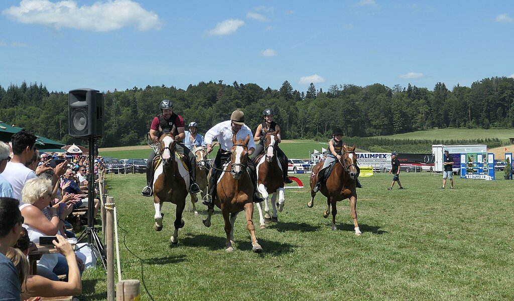 Die vorherigen Wagenpferde: Warmblut- und Freibergerpferde und ein Haflinger bestritten ein Rennen mit ihren Fahrern als Jockeys.
