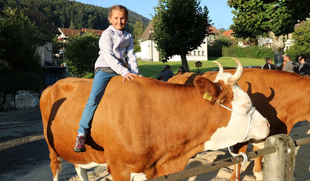 Stars auf dem Schauplatz: Jana, deren Grossvater auch Simmentaler züchtet, und Bettina, die alle sehen wollen, seit ihre Geschichte in der ObZ war. Fotos: B. Bentolila
