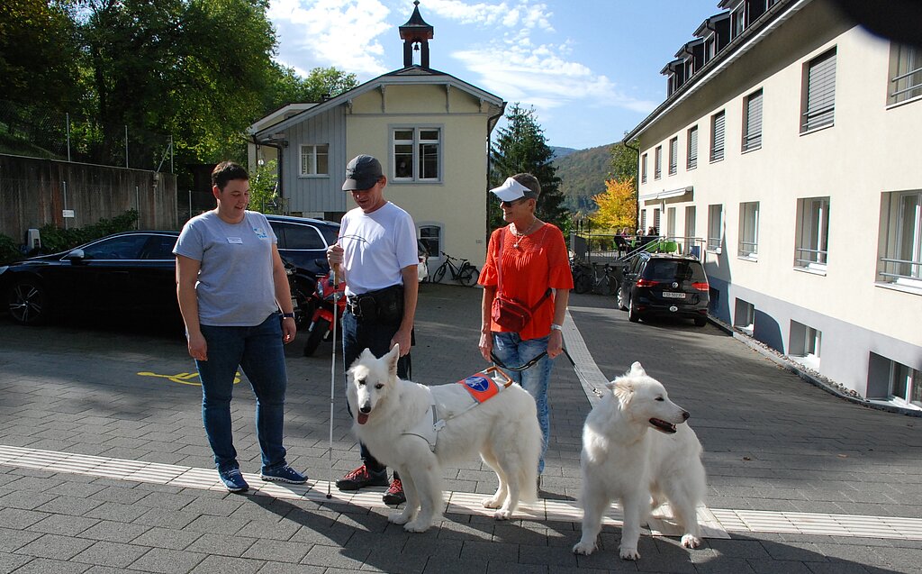 Ausgezeichneter Blindenführhund: der Bergier Suisse. Fotos: Pier-Giuseppe Cacciatori
