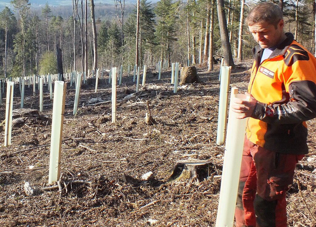 Revierförster Balz Recher leistete mit seinem Team einen wertvollen Einsatz zum Erhalt des Waldes. Fotos: W. Wenger