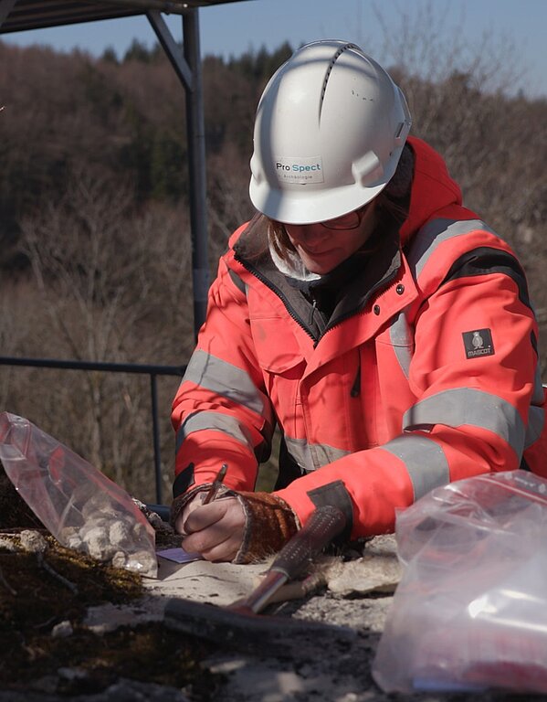 Bauarchäologische Untersuchungen am Mauerwerk der Burgruine durch die dafür spezialisierte Firma ProSpect GmbH. Mittels Mörtelanalysen werden die Bauabfolgen am Bauwerk ermittelt. Foto: Stefan Krause, Framegate GmbH
