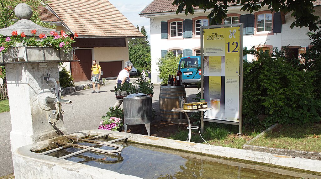 Der begehbare «Zeidlerbaum», ein naturnaher Bienen-Nistplatz. Foto: zVg
